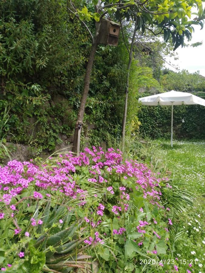 Apartamentos & Casa Rural Boada Con Jardin Interior Y Barbacoa Villamiel Extérieur photo